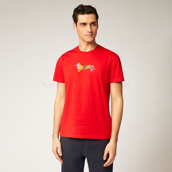 (image for) Acquistare T-shirt in cotone con logo stampato F08511-01018 in saldo fino al -80%